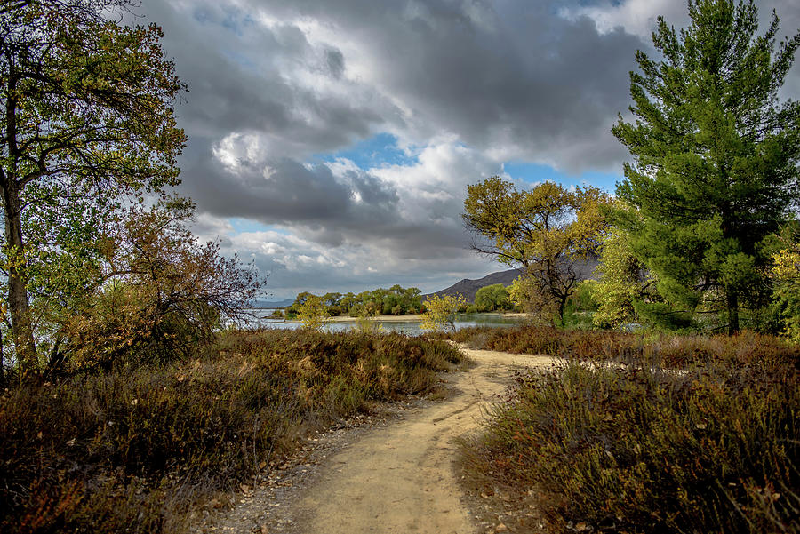 Path to Lake Skinner Photograph by Debra Kewley