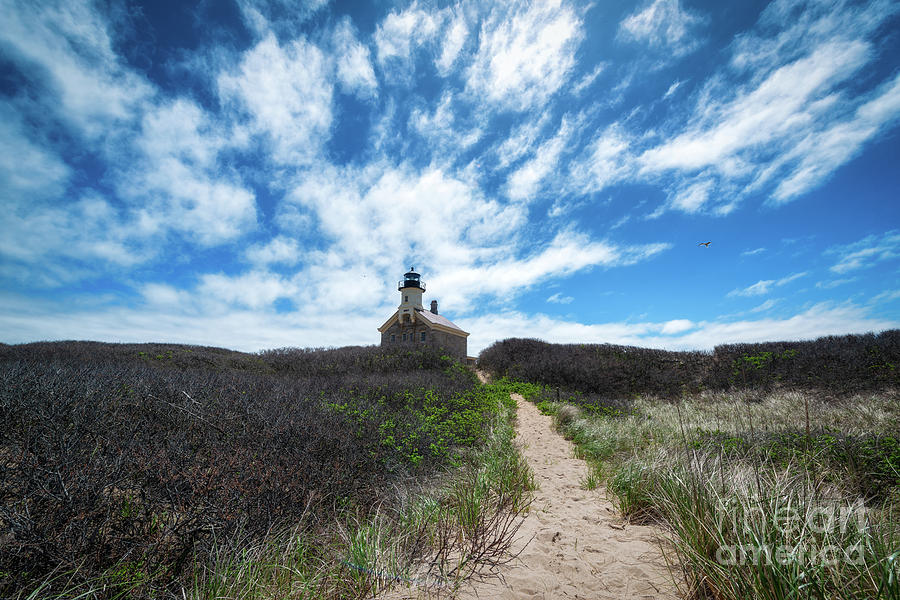 Nature Photograph - Path To North Light  by Michael Ver Sprill