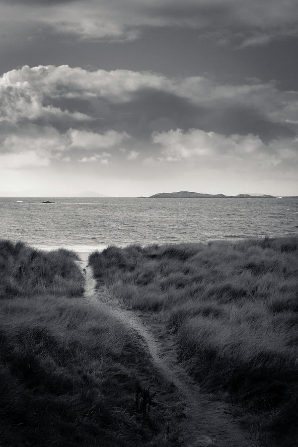 Path to Paradise Photograph by Mark Callanan