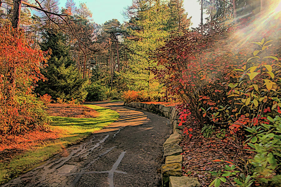 Path to Pine Forest Digital Art by Dennis Lundell