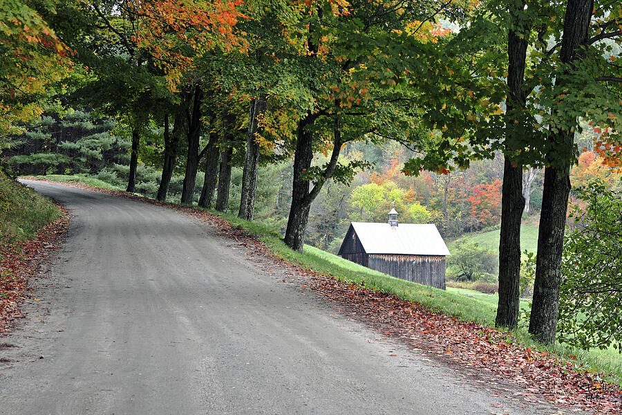 Path to Sleepy Hollow - Reading, Vermont Photograph by Brett Pelletier