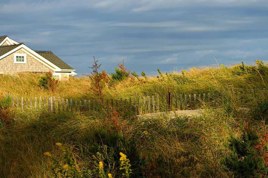 A Touch of Fall - Cape Cod Photograph by Dianne Cowen Cape Cod ...