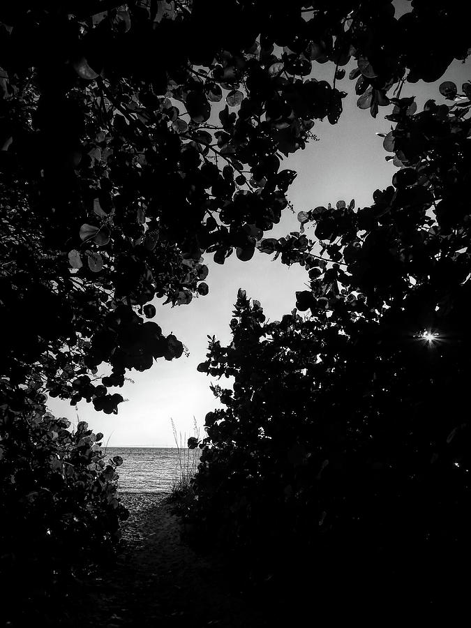 Path to the Beach by Robert Stanhope Path to the Beach by Robert Stanhope