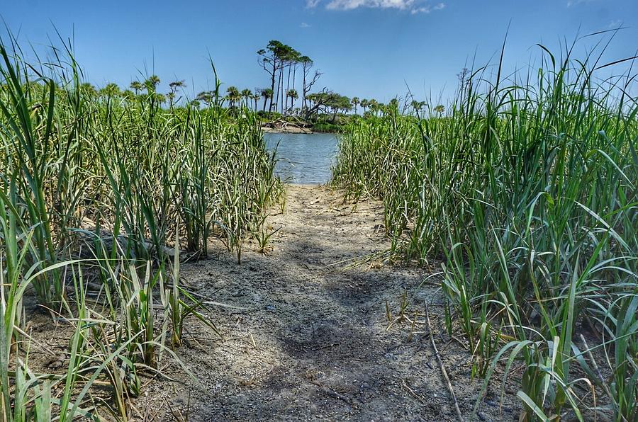 Path to the Lagoon Photograph by Patricia Greer
