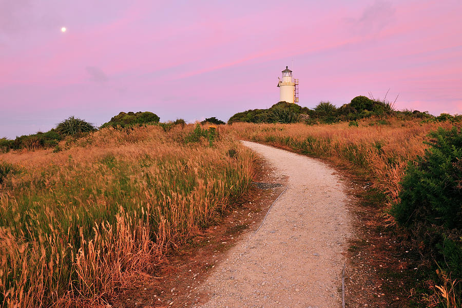 Path To The Lighthouse Photograph by Raimund Linke