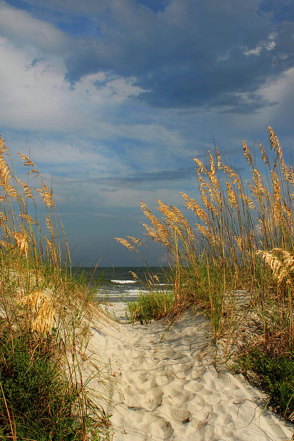 Path to the Ocean Photograph by Jerry Griffin