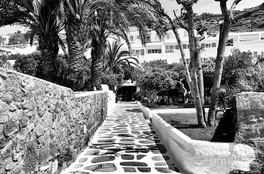 Path Under the Palm in Mykonos Photograph by John Rizzuto