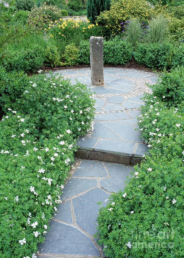 Flower Photograph - Pathway In Garden by Geoff Kidd/science Photo Library