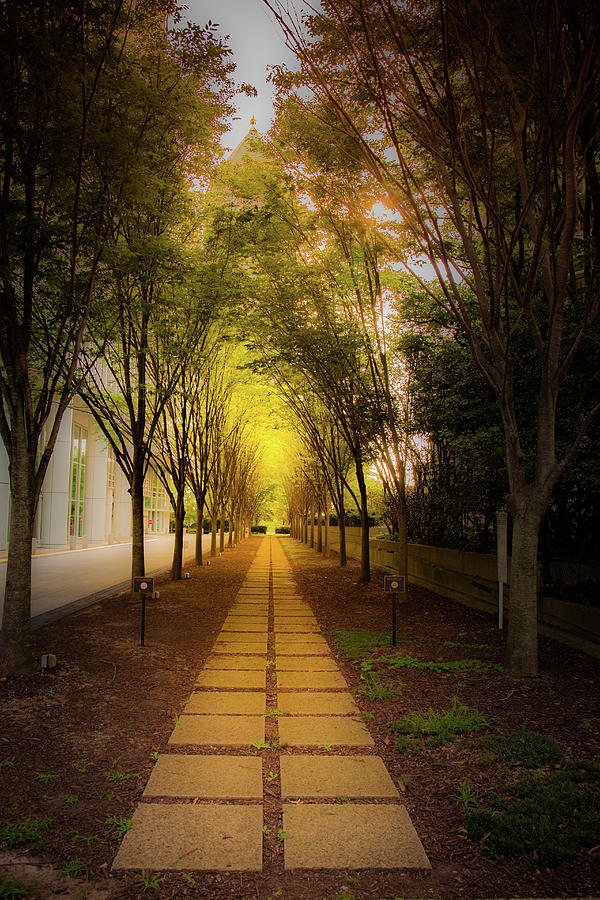 Pathway Photograph by Kenny Thomas