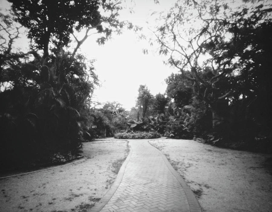 Pathway-Pinhole-041905 Photograph by Rudy Umans