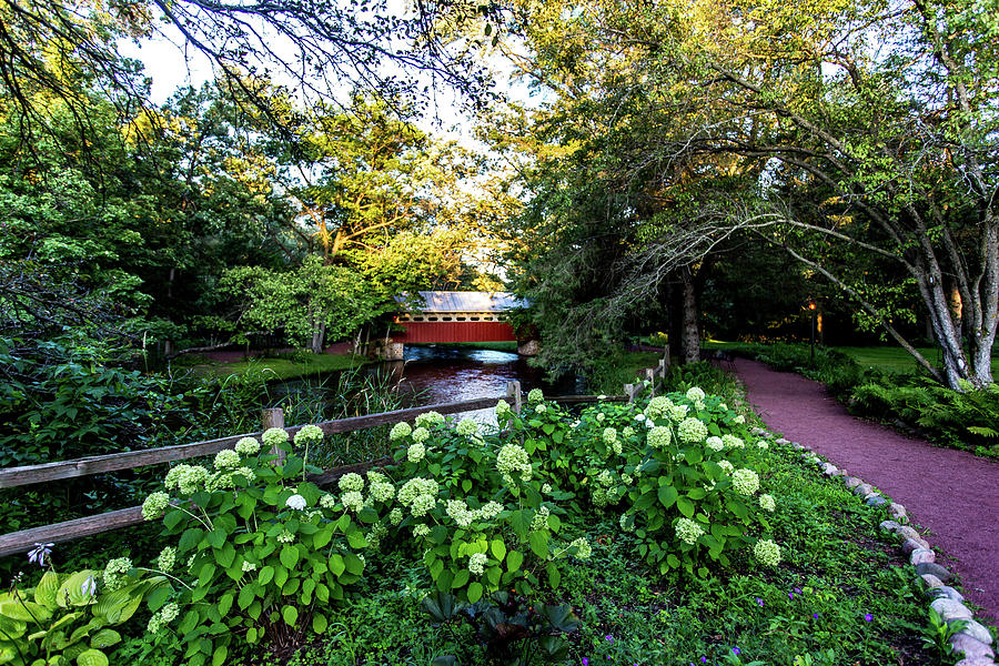 Pathway to Eden by Neal Nealis Pathway to Eden by Neal Nealis