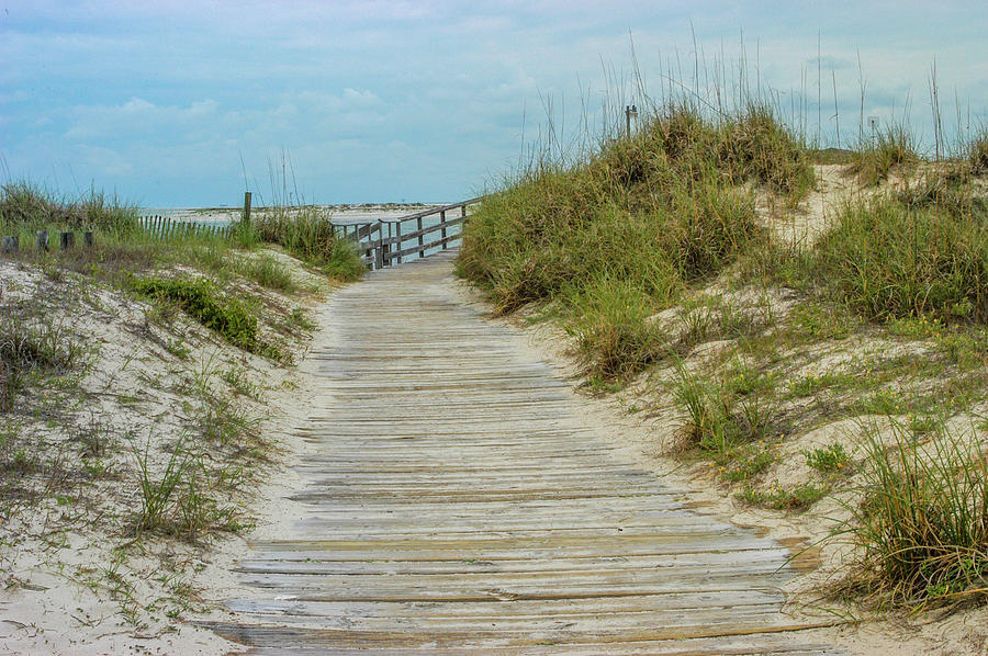 Pathway to the Beach Photograph by James C Richardson