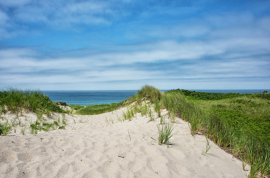 Path Photograph - Pathway To The Beach On Marthas Vineyard by Brendan Reals Path Photograph - Pathway To The Beach On Marthas Vineyard by Brendan Reals