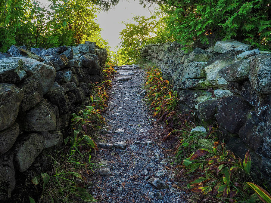 Pathway Upward Photograph by James C Richardson