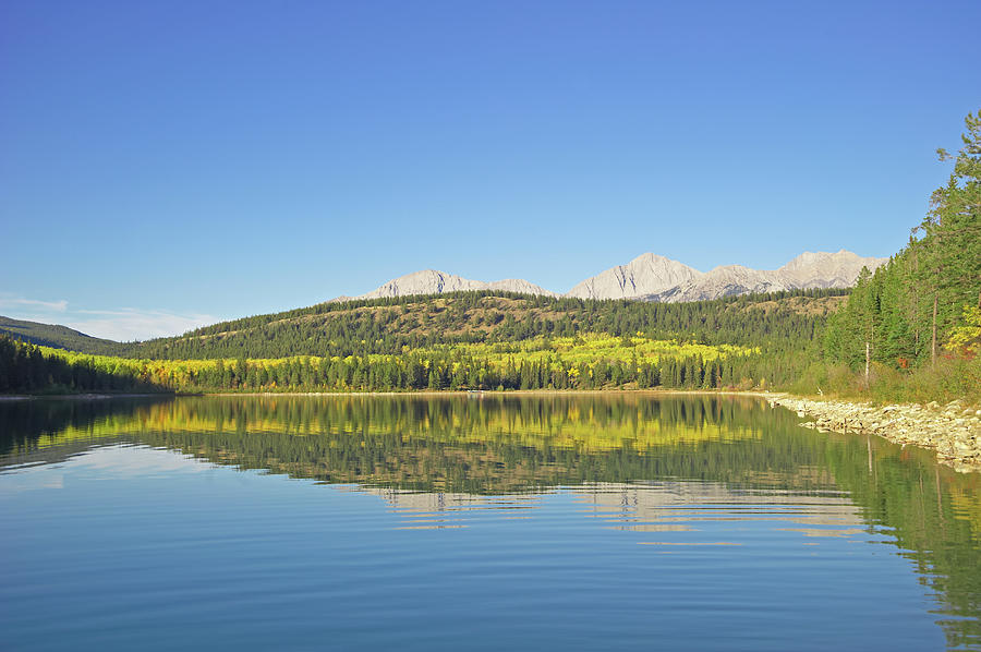 Patricia Lake, Jasper National Park Photograph by Liz Whitaker Patricia Lake, Jasper National Park Photograph by Liz Whitaker