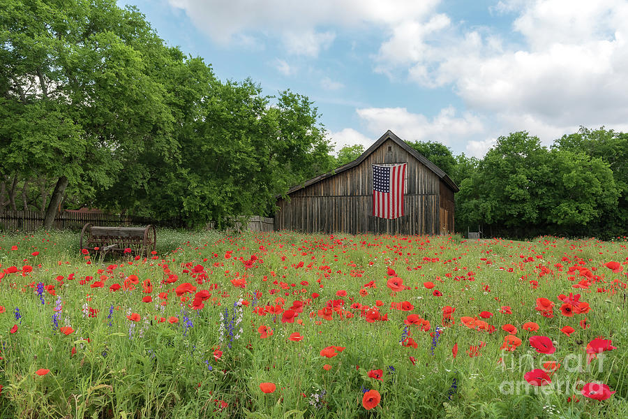 Flower Photograph - Patriotic Barn by Cathy Alba