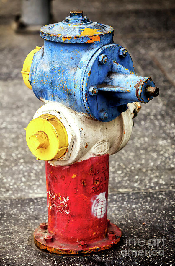 Patriotic Hollywood Boulevard Hydrant Photograph by John Rizzuto