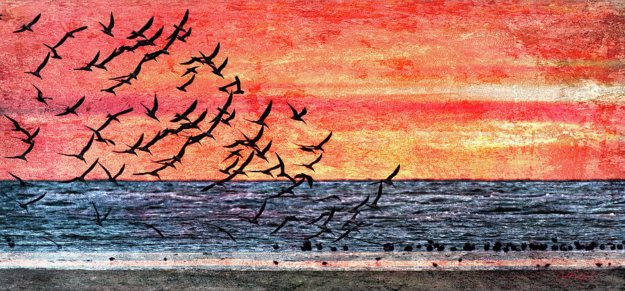 Bird Digital Art - Patriotic Sunrise by Carol Fox Henrichs