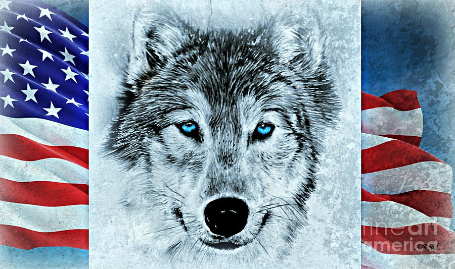 Wolves Drawing - Patriotic Wolf by Andrew Read