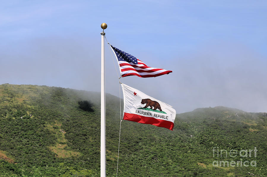 Patriotism and California Republic Photograph by Diann Fisher