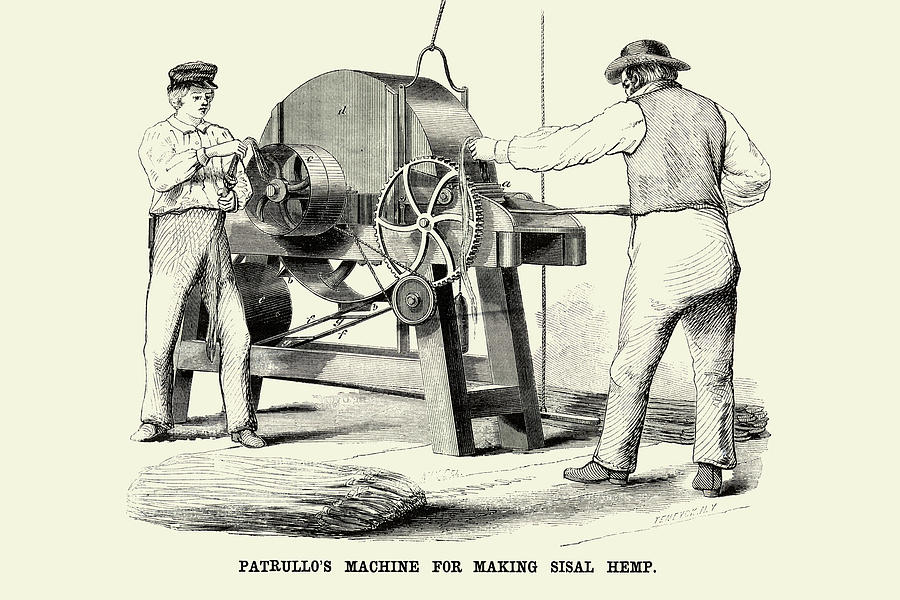 Patrullos Machine for Making Sisal Hemp Painting by Unknown