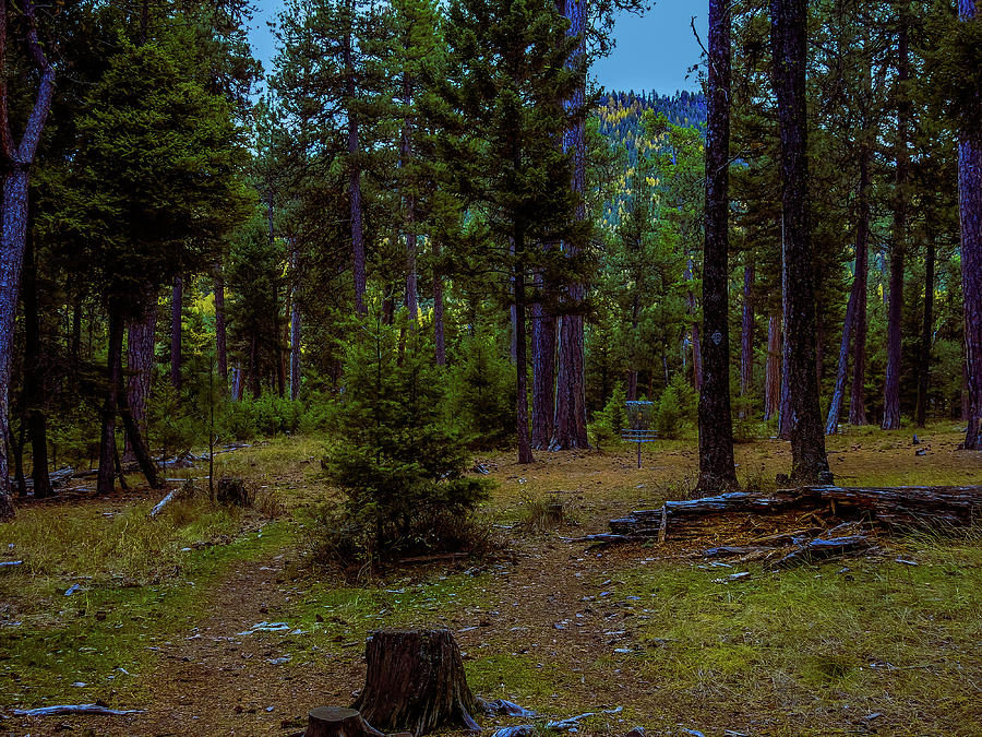 Pattee Canyon Disc Golf Course Photograph by Dan Hassett Fine Art America