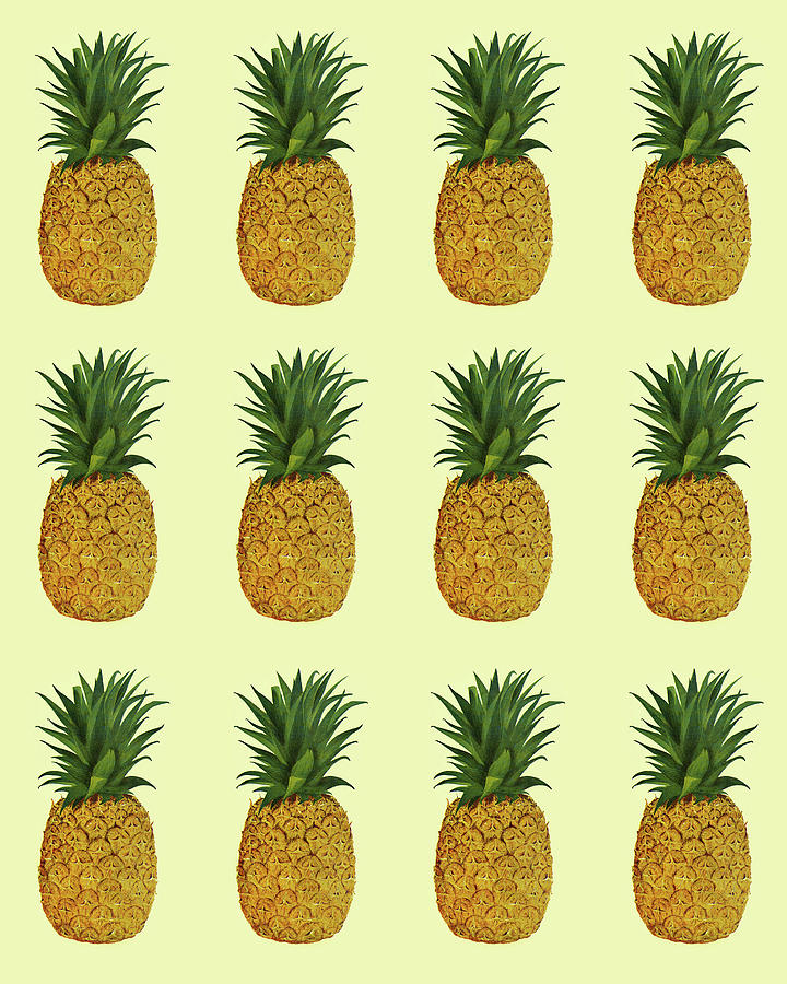 Vintage Drawing - Pattern of Pineapples by CSA Images