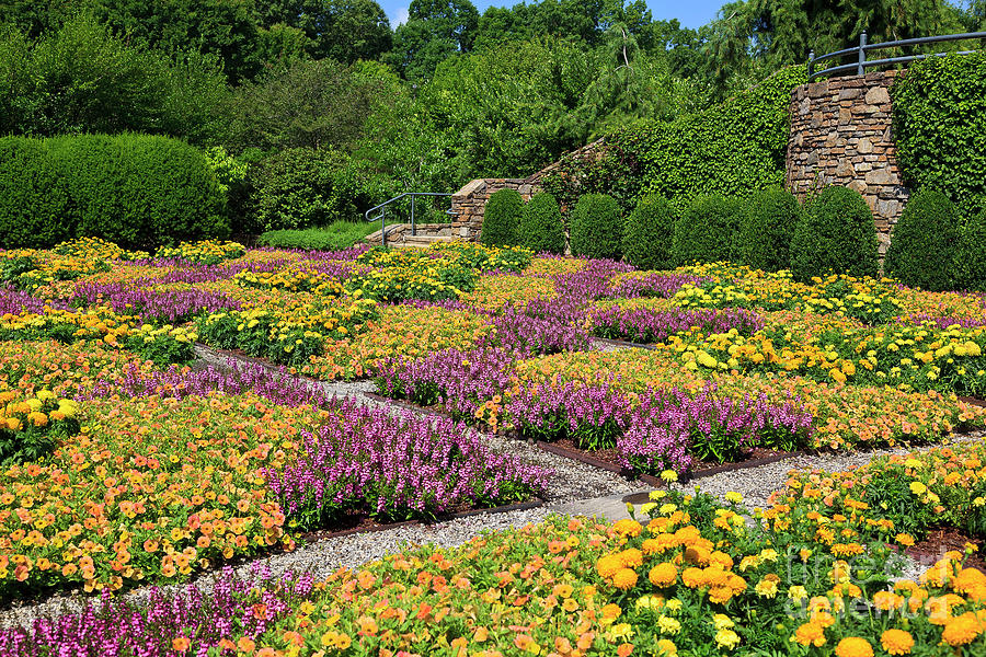 Patterned Quilt Garden Photograph by Jill Lang