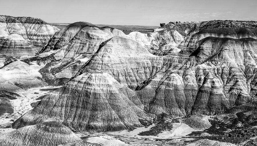 Petrified Forest National Park Photograph - Patterned Skirts BW by Norman Johnson