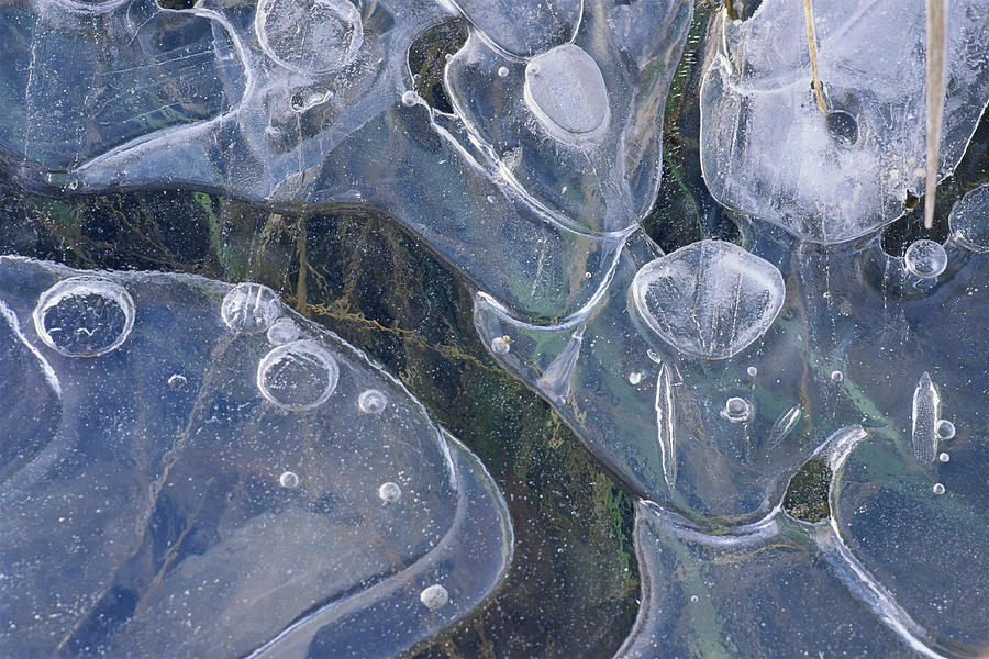 Patterns In Ice, Close-up Photograph by Tony Sweet