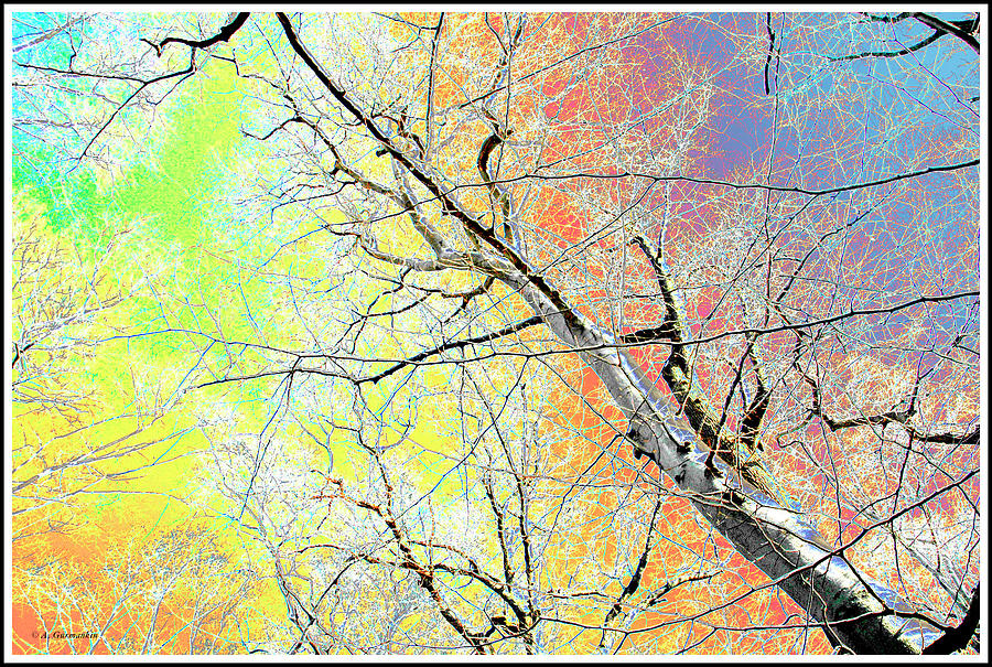Patterns in Nature, Tree Limbs and Branches Digital Art by A Macarthur Gurmankin