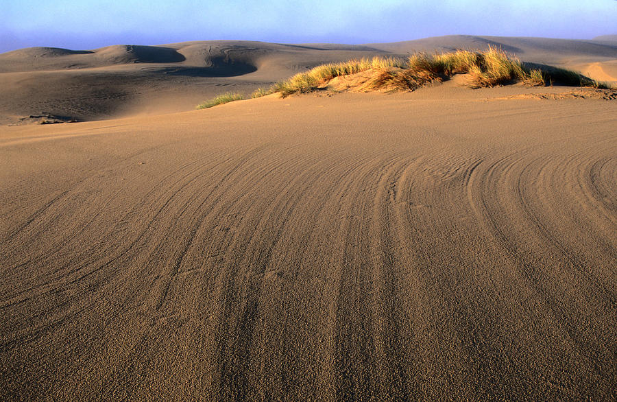 Patterns In Sand Dunes, Umpqua Dunes Photograph by John Elk Iii