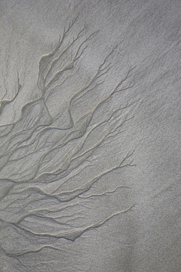 Patterns In Sand From Flowing Water Photograph by Tobias Titz