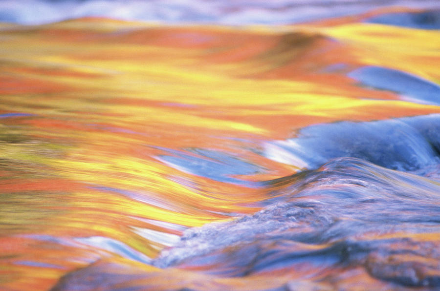 Abstract Photograph - Patterns In Stream, Autumn Long Exposure by Tony Sweet