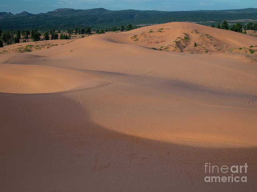 Coral Pink Sand Dunes Photograph - Patterns in the Sand  D0881 by Stephen Parker
