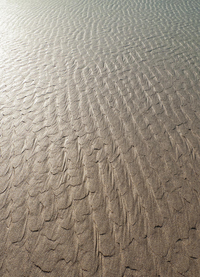 Patterns in wet sand Photograph by David L Moore