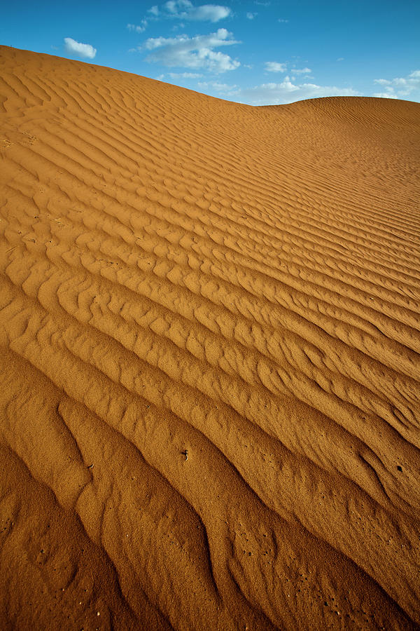 Patterns On Sand Dune Photograph by © Santiago Urquijo