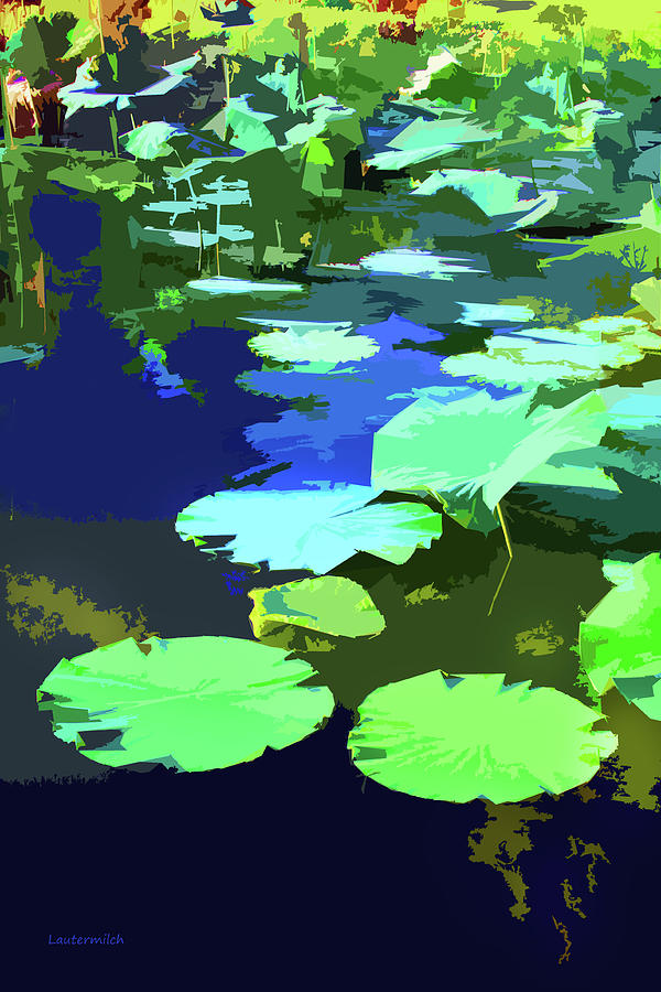Patterns on the Pond Digital Art by John Lautermilch
