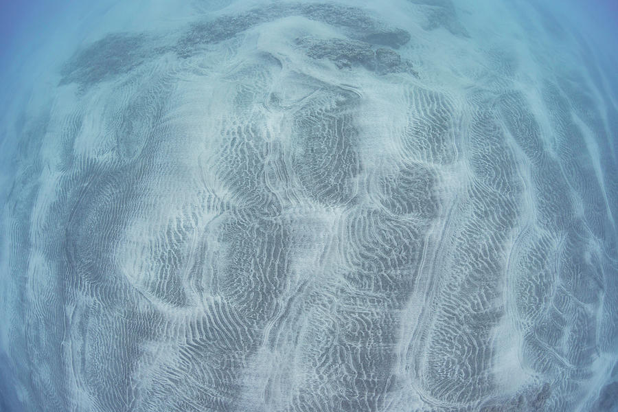 Patterns On The Sand Seabed Created By Wave Action, Hawaii Photograph by David Fleetham / Naturepl.com Patterns On The Sand Seabed Created By Wave Action, Hawaii Photograph by David Fleetham / Naturepl.com