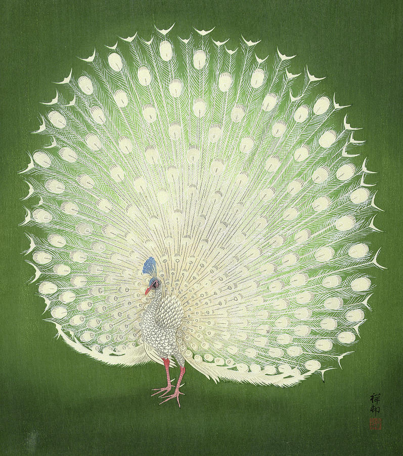 Ohara Koson Painting - Peacock, 1930 by Ohara Koson