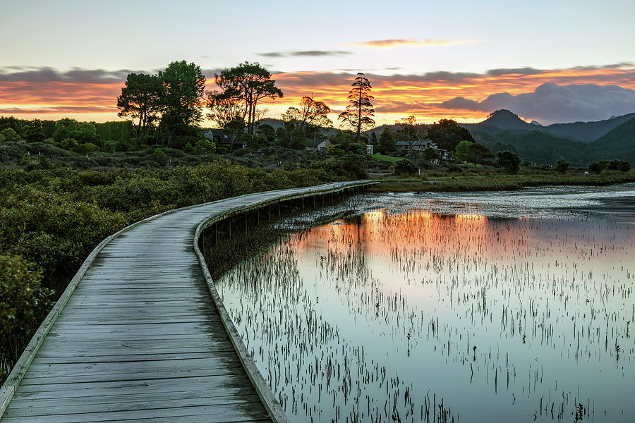 Pauanui - New Zealand Photograph by Joana Kruse