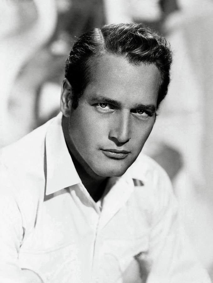 Paul Newman Classical Handsome Portrait Photograph by Globe Photos ...