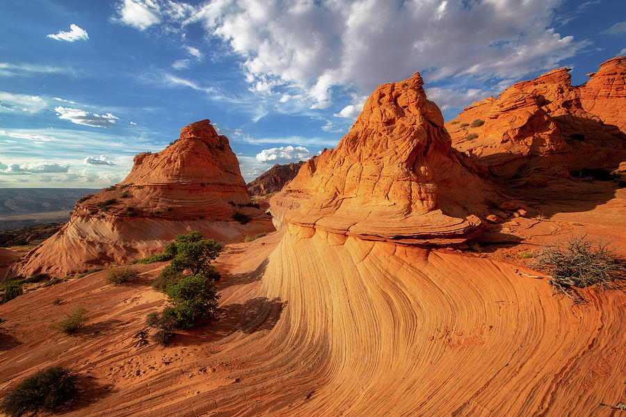 Paw Hole at Coyote Buttes South Photograph by Alex Mironyuk - Fine Art America