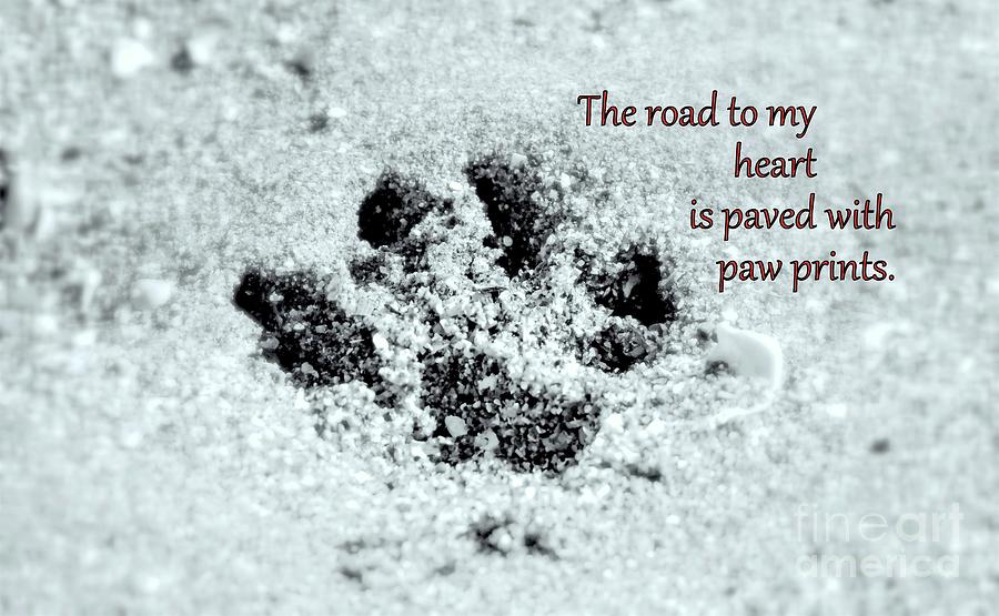 Paw Prints by Patti Whitten Paw Prints by Patti Whitten