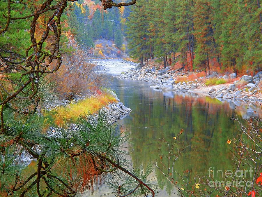 Payette River Autumn Photography Photograph By Art Sandi