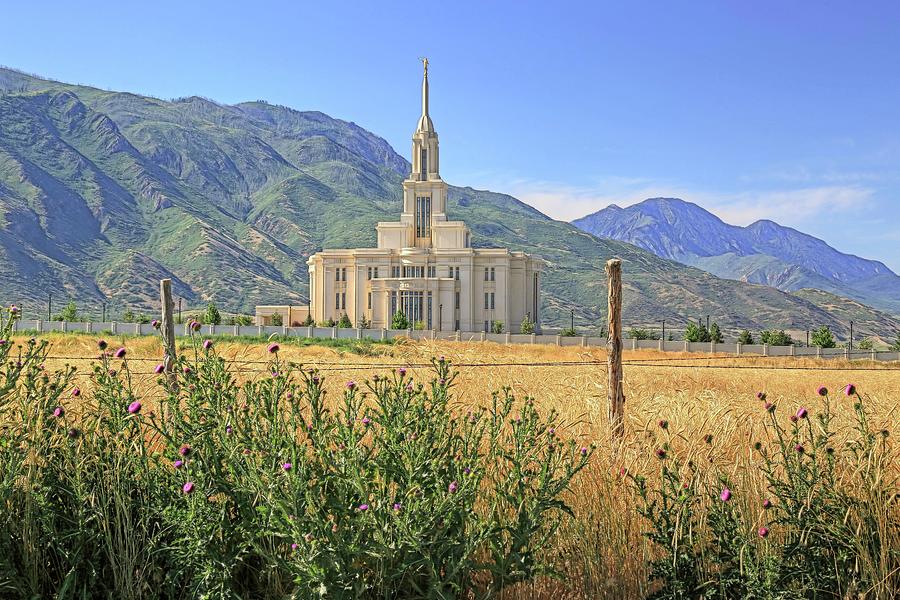 Payson Temple Photograph by Donna Kennedy