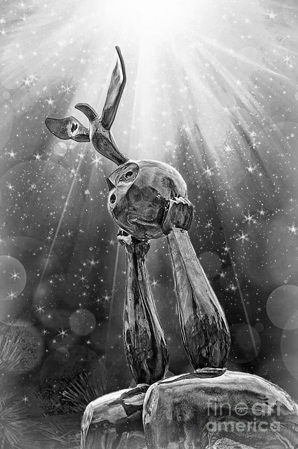 Peace And Enlightenment B/w Digital Art by Ian Gledhill