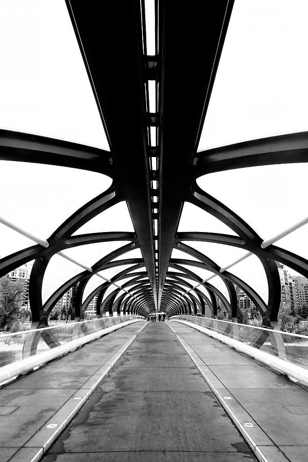 Peace Bridge Calgary Photograph by Catherine Reading