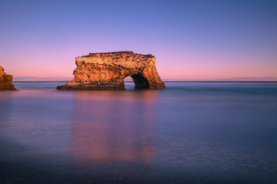 Peace Bridge Photograph by Wenjin Yu - Fine Art America