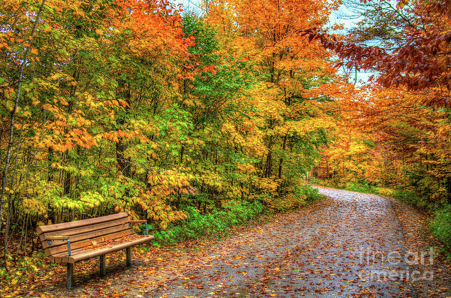 Peaceful Autumn Day Photograph by Deborah Klubertanz - Pixels